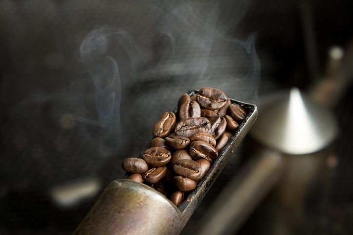 Ilustrasi tingkat roasting biji kopi