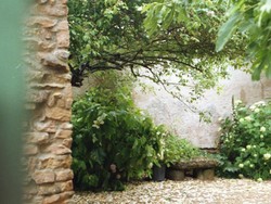 Niat Bikin Kolam, Pria Hoki Ini Nemu Harta Karun Emas Belasan Miliar