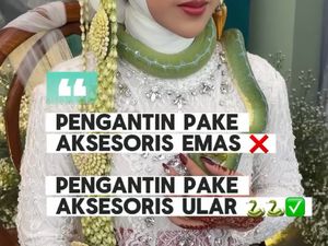 Viral Pengantin Pakai Kalung Ular saat Resepsi, Bikin Tamu-Fotografer Kaget