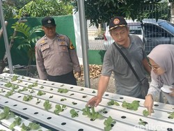 Dorong Ketahanan Pangan, Polisi di Sidoarjo Cek Kebun Hidroponik Warga