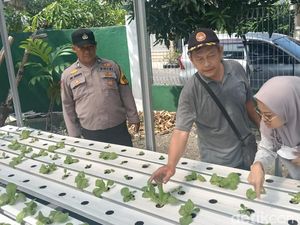 Dorong Ketahanan Pangan, Polisi di Sidoarjo Cek Kebun Hidroponik Warga Dorong Ketahanan Pangan, Polisi di Sidoarjo Cek Kebun Hidroponik Warga