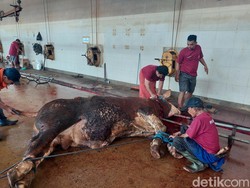 Jelang Iduladha, RPH Surabaya Target Kenaikan 5% Penjualan dan Pemotongan