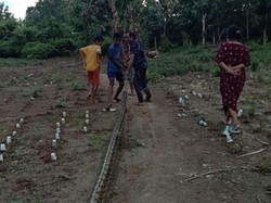 Ngeri! Aprilia Dililit Ular Piton Berukuran 7 Meter