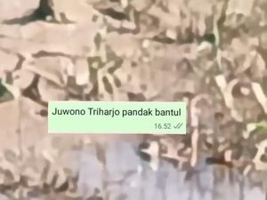 Pemkab Bantul Akui Postingan IG Resmi soal Buaya di Triharjo Cuma Repost Pemkab Bantul Akui Postingan IG Resmi soal Buaya di Triharjo Cuma Repost