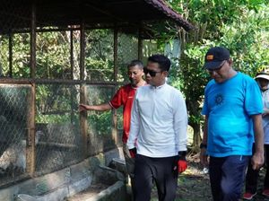 Nasib Miris Kebun Binatang Mini Banjarmasin, Koleksi Satwa Tak Sampai 10 Jenis Nasib Miris Kebun Binatang Mini Banjarmasin, Koleksi Satwa Tak Sampai 10 Jenis