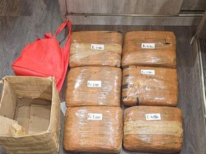 Polda Metro Tangkap Pengedar Narkoba Jaringan Sumatera, 6 Kg Ganja Disita