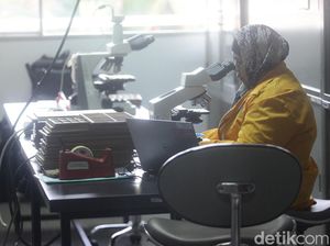 Video: Bio Farma Berharap Vaksin Tuberkulosis Diproduksi di Indonesia Video: Bio Farma Berharap Vaksin Tuberkulosis Diproduksi di Indonesia