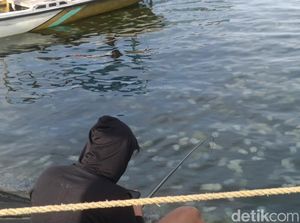 Heboh Ubur-ubur Muncul di Pelabuhan Mayangan, Begini Penampakannya Heboh Ubur-ubur Muncul di Pelabuhan Mayangan, Begini Penampakannya