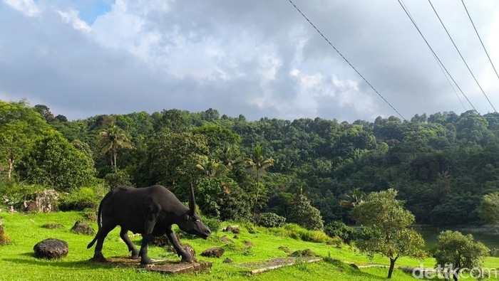 Kebun Raya Kuningan