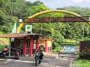 Menikmati Suasana Asri Kebun Raya Kuningan