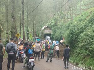 Longsor Tutup Jalur Wisata Bromo di Tosari Pasuruan Longsor Tutup Jalur Wisata Bromo di Tosari Pasuruan