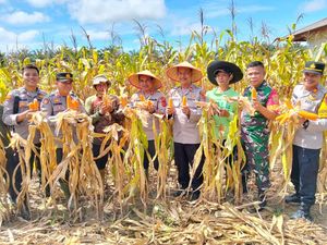 Dukung Ketahanan Pangan, Polda Jambi Panen 46 Ton Jagung
