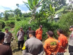 Kronologi Pendaki Asal Karawang Hilang di Gunung Cikuray Garut