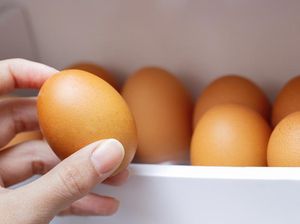 6 Tips Menyimpan Telur Tanpa Kulkas yang Benar agar Awet dan Tetap Segar 6 Tips Menyimpan Telur Tanpa Kulkas yang Benar agar Awet dan Tetap Segar