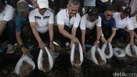 Aksi Bersih Sampah dan Tebar Nila Warnai Festival Desa