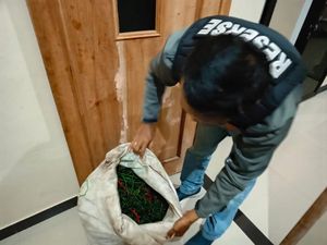2 ABG Tepergok Maling Cabai di Kebun Warga Semarang, Begini Endingnya 2 ABG Tepergok Maling Cabai di Kebun Warga Semarang, Begini Endingnya
