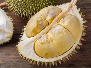 Ternyata Begini Efek Konsumsi Durian untuk Kesehatan Hati Ternyata Begini Efek Konsumsi Durian untuk Kesehatan Hati