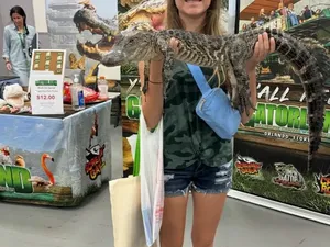 Waspada! Mata Bisa Tertipu Foto Ini, Lihat Dua Kali