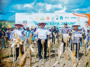 Mentan Bawa Kabar Gembira buat Petani Jagung Mentan Bawa Kabar Gembira buat Petani Jagung