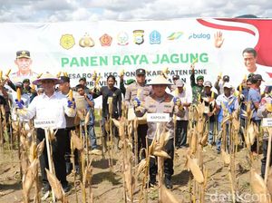 Panen Raya di Bone, Mentan-Kapolri Yakin Petani Jagung RI Makin Sejahtera