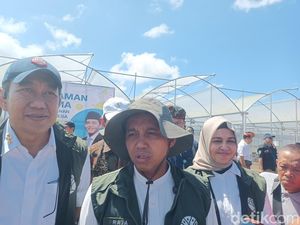 Raja Juli Soroti Hutan-Bukit di NTB Jadi Kebun Jagung, Dorong Agroforestri Raja Juli Soroti Hutan-Bukit di NTB Jadi Kebun Jagung, Dorong Agroforestri