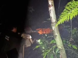 Pendaki yang Tewas di Puncak Gunung Pesagi Lampung Barat Berhasil Dievakuasi Pendaki yang Tewas di Puncak Gunung Pesagi Lampung Barat Berhasil Dievakuasi