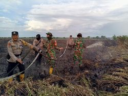 Polisi Tangkap Pelaku Pembakar 10 Hektare Lahan di Rokan Hilir Riau