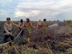 Polisi Tangkap Pelaku Pembakar 10 Hektare Lahan di Rokan Hilir Riau