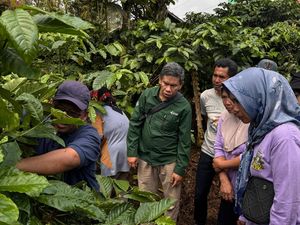 Pusri Palembang Kembangkan Kopi Tebat Benawa