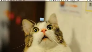 Ide Gambar Wallpaper Desktop yang Kreatif