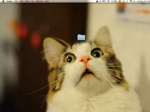 Ide Gambar Wallpaper Desktop yang Kreatif Ide Gambar Wallpaper Desktop yang Kreatif