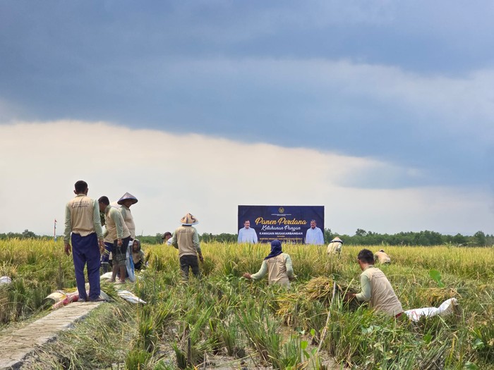 Aktivitas ketahanan pangan yang dijalankan narapidana di Nusakambangan, Cilacap, Jateng.