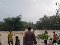 Banjir di Bojonegoro Hanyutkan Ternak hingga Rumah Warga