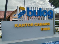 Bulog Bima Mulai Beli Jagung Petani Sesuai HPP, tapi Ada Syaratnya