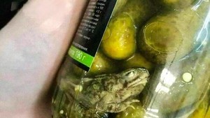 Burger Ceker hingga Acar Kodok, Ini 10 Tampilan Makanan Absurd!