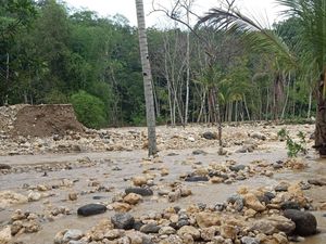 Hujan Deras Picu Banjir dan Tanah Longsor di Trenggalek