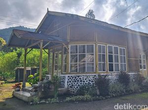 PTPN Rugi Rp 700 Juta gegara Kericuhan di Kaligedang Bondowoso