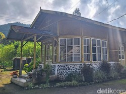 PTPN Rugi Rp 700 Juta gegara Kericuhan di Kaligedang Bondowoso