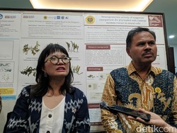 Anggaran Riset untuk Kampus yang Dikelola LPDP Tembus Rp 1,8 Triliun