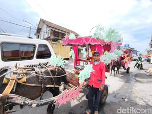 Kepasrahan Alam Sang Kusir Delman yang Ditelan Zaman Kepasrahan Alam Sang Kusir Delman yang Ditelan Zaman