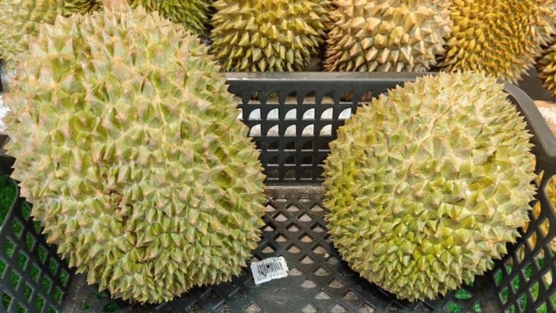 Tupai King Dinobatkan Sebagai Durian Premium Kalahkan Black Thorn