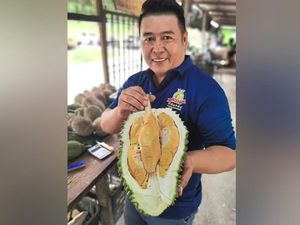 Muncul Durian Premium Tupai King dari Malaysia, Bagaimana Rasanya? Muncul Durian Premium Tupai King dari Malaysia, Bagaimana Rasanya?