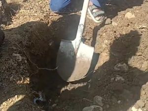 Pria di Mamuju Kepergok Kubur Janin Hasil Aborsi Pacar, Pelaku Ditangkap