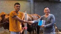 Asyik Beli Sapi Kurban Dapat Hadiah Handphone di Pasuruan