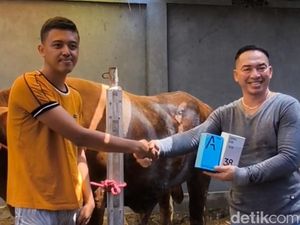 Asyik Beli Sapi Kurban Dapat Hadiah Handphone di Pasuruan Asyik Beli Sapi Kurban Dapat Hadiah Handphone di Pasuruan