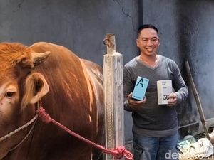 Beli Sapi Kurban di Pasuruan Bisa Dapat Hadiah Handphone Beli Sapi Kurban di Pasuruan Bisa Dapat Hadiah Handphone