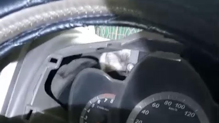 Petugas Damkar Sukoharjo di saat mengevakuasi kucing yang terjebak di dasbor kendaraan beroda empat di Desa Plumbon, Kecamatan Mojolaban, Kabupaten Sukoharjo, Senin (19/5/2025).