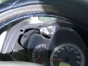 Damkar Sukoharjo Selamatkan Kucing Terjebak di Dasbor Mobil Pakai Pistol Air Damkar Sukoharjo Selamatkan Kucing Terjebak di Dasbor Mobil Pakai Pistol Air