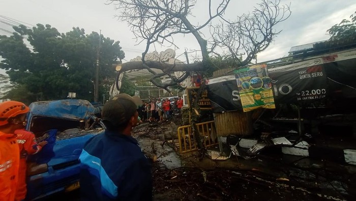 Pohon tumbang timpa pangkalan ojek di Bogor. pohon tumbang