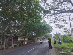 Pemotor Bonceng 3 Hantam Truk Parkir di Banyuwangi, Ketiganya Tewas